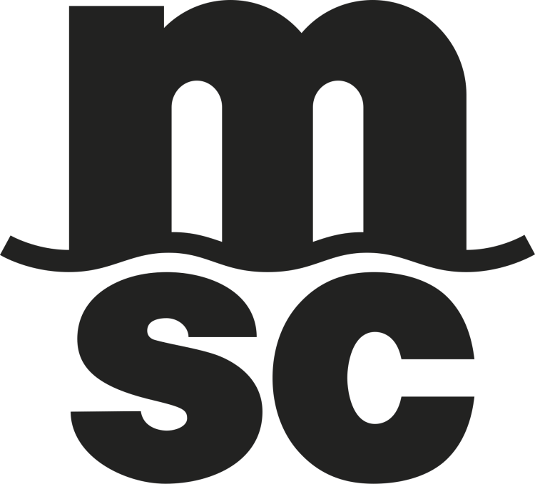 Mediterranean Shipping Company (MSC, StarLauro Cruises, MSC Crociere, MSC Cruises, Società Navigazione Alta Velocità, SNAV, Grandi Navi Veloci, GNV, Medway, MSC Air Cargo)