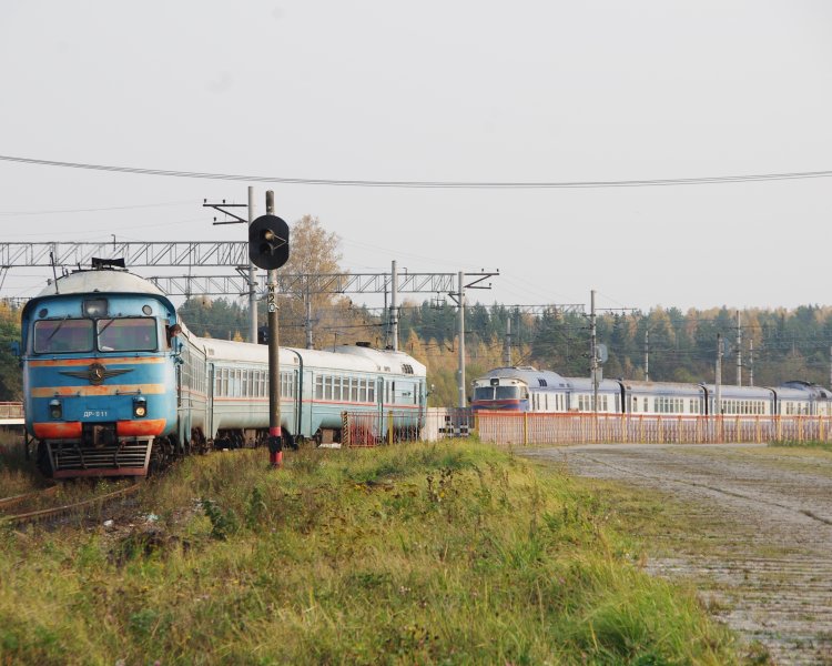 Дизель-поезд ДР1 (ДР1М)